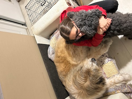 Cristina-Maria- petsitter Florești sau Bonă pentru animale pentru câini pisici