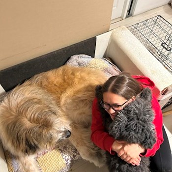 thumbnail petsitter Florești sau bonă pentru animale pentru câini pisici