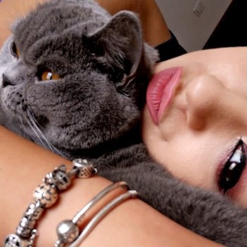 thumbnail petsitter Valea Adâncă or pet nanny for dogs cats