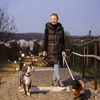 thumbnail petsitter Târgu Mureș sau bonă pentru animale pentru câini