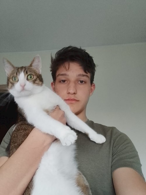 Tudor- petsitter Iași vagy Állat szitter a kutyák cicák 