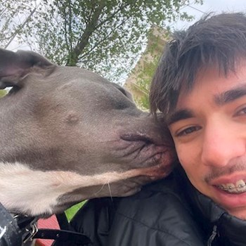 thumbnail petsitter Chiajna sau bonă pentru animale pentru câini pisici