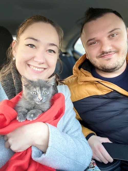 Mariana- petsitter Cluj-Napoca or Pet nanny for cats