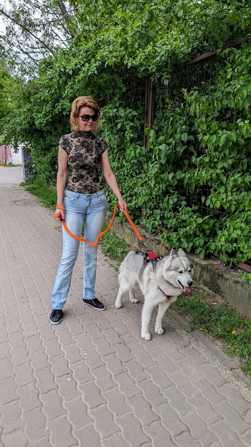 Cristina- petsitter Voluntari sau Bonă pentru animale pentru câini pisici