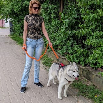 thumbnail petsitter Voluntari sau bonă pentru animale pentru câini pisici