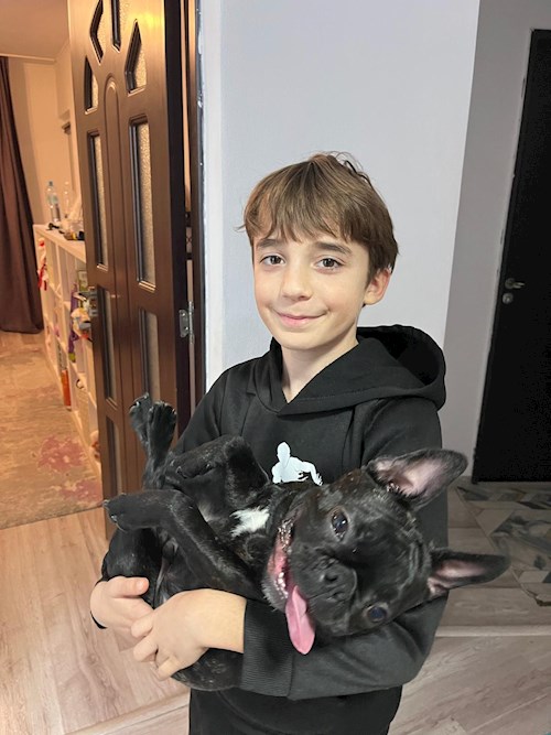 Nicu- petsitter București sau Bonă pentru animale pentru câini pisici