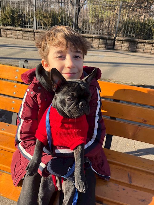 Nicu- petsitter București sau Bonă pentru animale pentru câini pisici