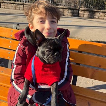 thumbnail petsitter București sau bonă pentru animale pentru câini pisici