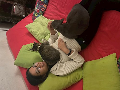 BaoAnh- petsitter București sau Bonă pentru animale pentru câini pisici 