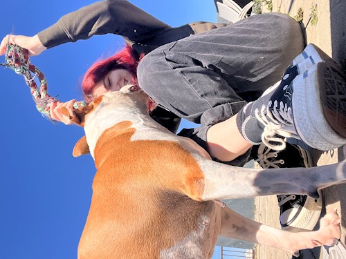 Alina- petsitter București or Pet nanny for dogs cats