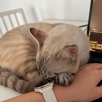 thumbnail petsitter București sau bonă pentru animale pentru