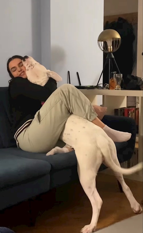 Mara- petsitter București or Pet nanny for