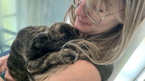 Trîncă- petsitter Cluj-Napoca or Pet nanny for dogs cats