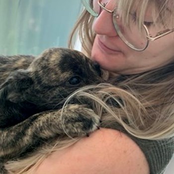 thumbnail petsitter Cluj-Napoca or pet nanny for dogs cats