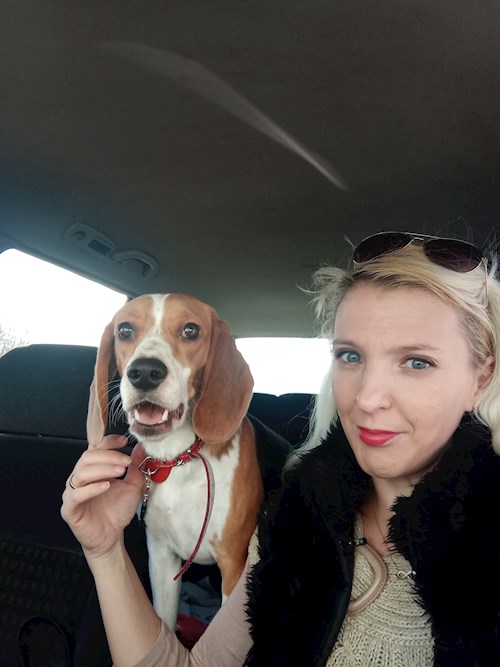 Mihalache- petsitter Valea Lupului or Pet nanny for dogs cats