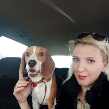 thumbnail petsitter Valea Lupului or pet nanny for dogs cats