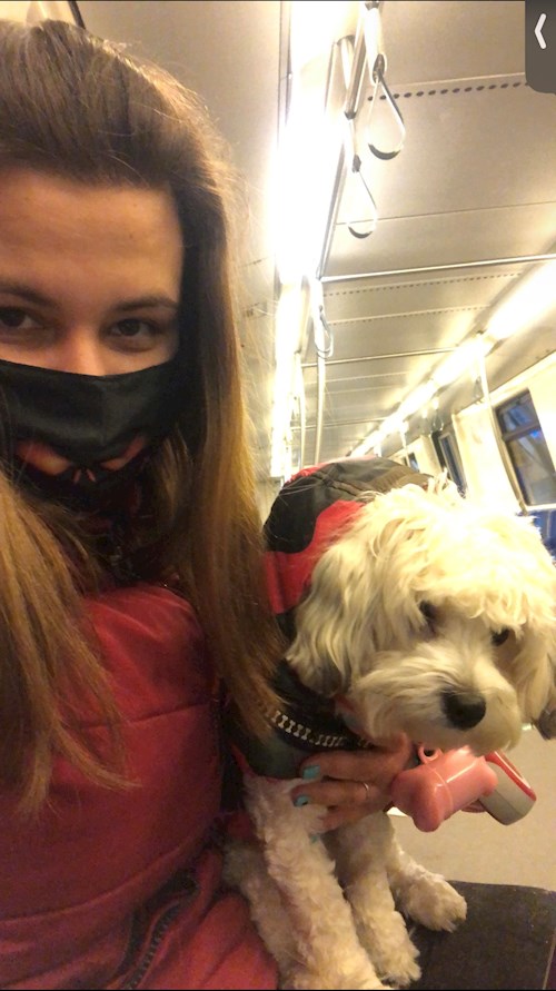 Nicola- petsitter București sau Bonă pentru animale pentru câini pisici