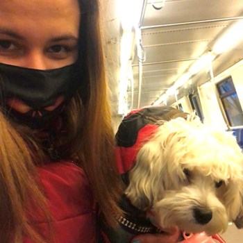 thumbnail petsitter București sau bonă pentru animale pentru câini pisici