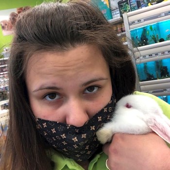 thumbnail petsitter București sau bonă pentru animale pentru câini pisici