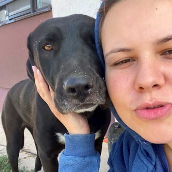 thumbnail petsitter București sau bonă pentru animale pentru câini pisici