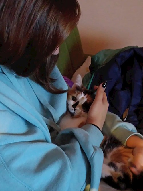 Melania-Georgiana- petsitter Cluj-Napoca or Pet nanny for dogs cats