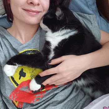 thumbnail petsitter Cluj-Napoca or pet nanny for dogs cats