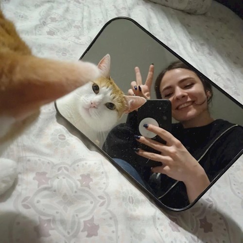 Melania-Georgiana- petsitter Cluj-Napoca or Pet nanny for dogs cats