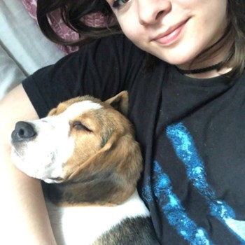 thumbnail petsitter Cluj-Napoca or pet nanny for dogs cats