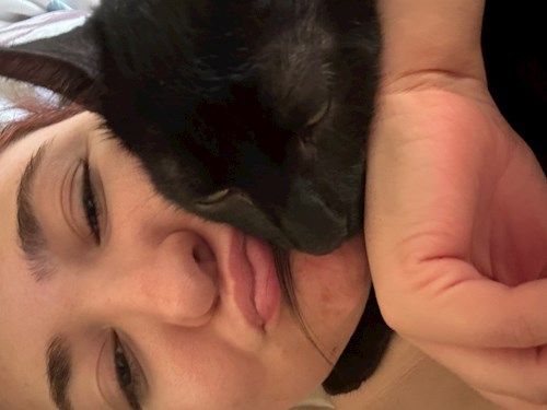 Lorena- petsitter Bragadiru or Pet nanny for dogs cats