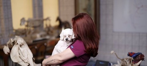 Lorena- petsitter Bragadiru or Pet nanny for dogs cats