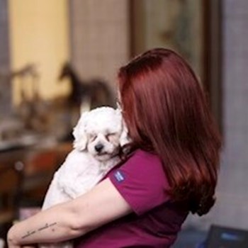 thumbnail petsitter Bragadiru or pet nanny for dogs cats