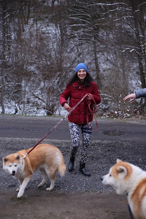 Flavia-Elena- petsitter București or Pet nanny for dogs cats 