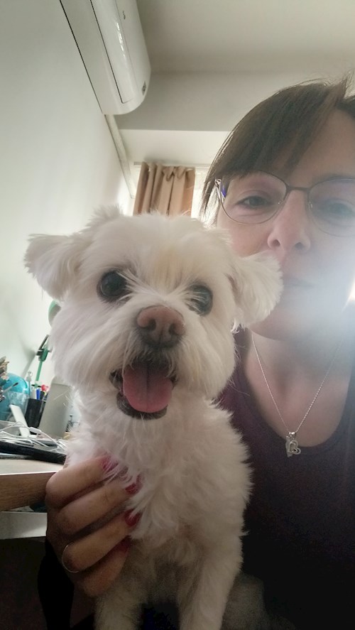 Larisa- petsitter București sau Bonă pentru animale pentru câini pisici