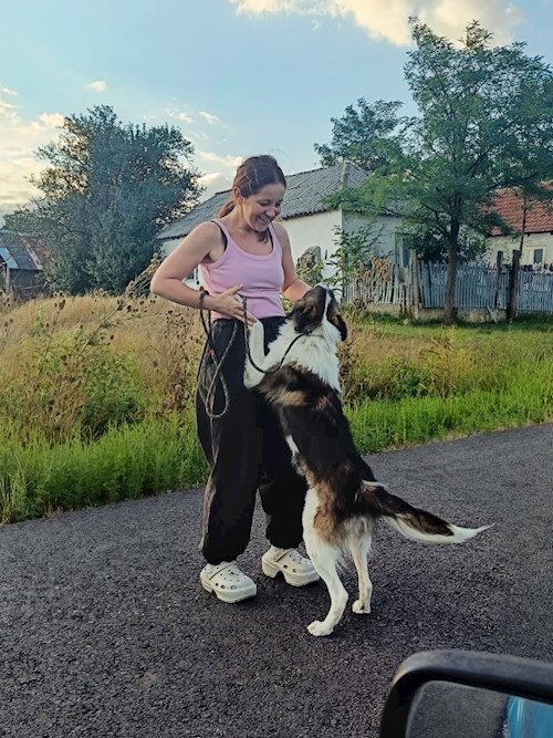 Iasmina- petsitter Oradea sau Bonă pentru animale pentru câini pisici