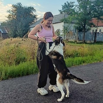 thumbnail petsitter Oradea sau bonă pentru animale pentru câini pisici