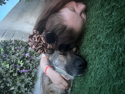 Iasmina- petsitter Oradea sau Bonă pentru animale pentru câini pisici