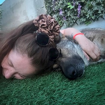 thumbnail petsitter Oradea sau bonă pentru animale pentru câini pisici