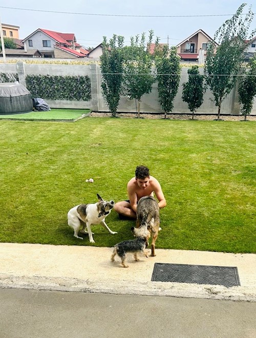 Iasmina- petsitter Oradea sau Bonă pentru animale pentru câini pisici