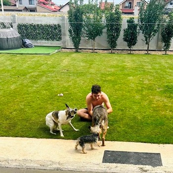 thumbnail petsitter Oradea sau bonă pentru animale pentru câini pisici