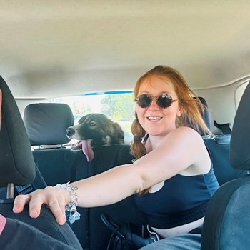 thumbnail petsitter Oradea sau bonă pentru animale pentru câini pisici