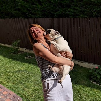 thumbnail petsitter Voluntari sau bonă pentru animale pentru câini pisici