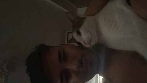 Croitoru- petsitter Florești sau Bonă pentru animale pentru câini pisici