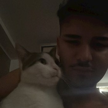 thumbnail petsitter Florești sau bonă pentru animale pentru câini pisici