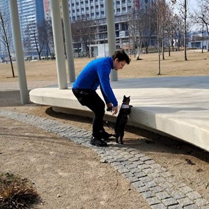 petsitter Baciu sau Bonă pentru animale pentru Câini Pisici