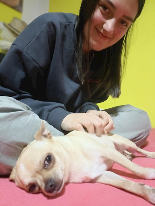 Mateș- petsitter Timișoara vagy Állat szitter a kutyák cicák 