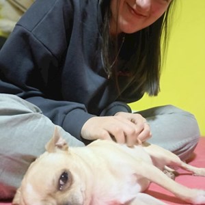 petsitter Timișoara sau Bonă pentru animale pentru Câini Pisici