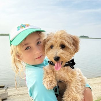 thumbnail petsitter București sau bonă pentru animale pentru câini pisici