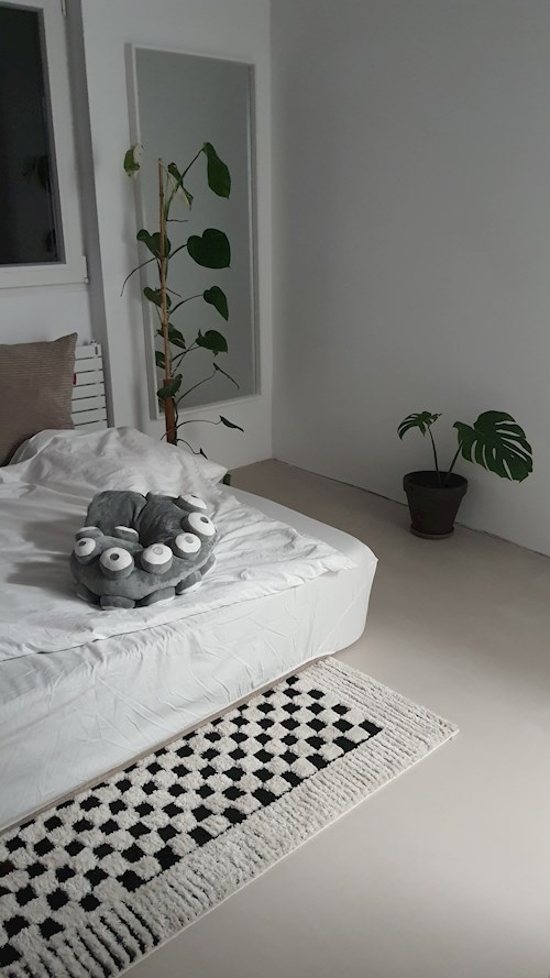 Ana- petsitter București or Pet nanny for dogs cats 