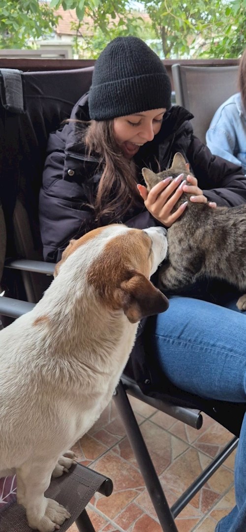 Silaghi- petsitter Cluj-Napoca or Pet nanny for dogs cats 