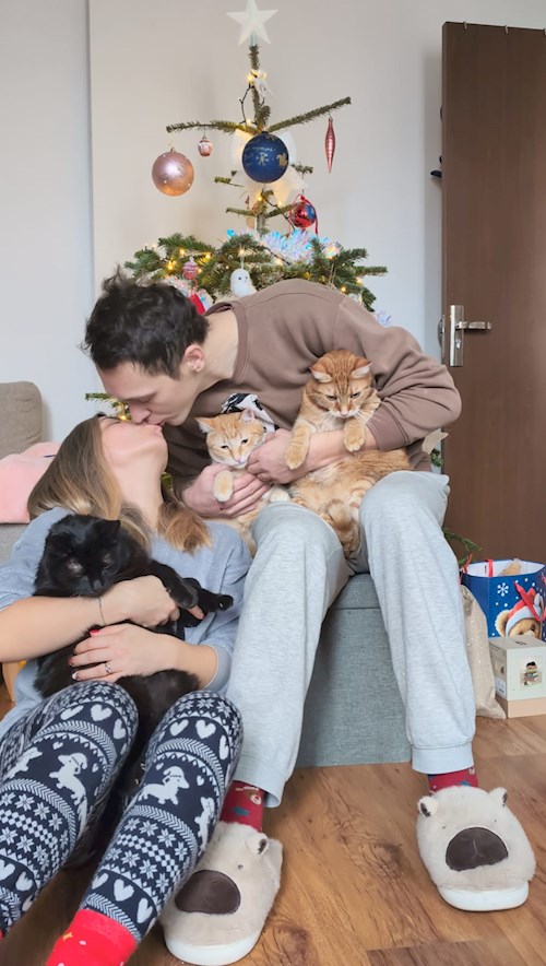 Diana- petsitter Oradea vagy Állat szitter a cicák 